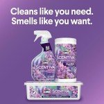 Clorox Scentiva Lavender Disinfecting Mop Pads, 48 Count