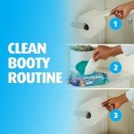 Charmin Flushable Wipes - 160 Total Wipes