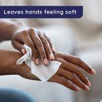 Wet Ones Fresh Scent Antibacterial Hand Wipes 200 Count