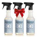 Mrs. Meyer's Clean Day Snow Drop Cleaner, 16 oz