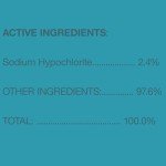 Clorox Disinfecting Bathroom Foamer with Bleach, 30 oz