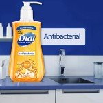 Dial Antibacterial Liquid Hand Soap - 7.5 Ounce