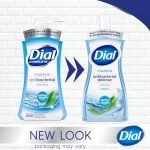 Dial Spring Water Antibacterial Foaming Hand Wash