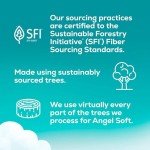 Angel Soft Ultra 6 Mega Rolls Toilet Paper