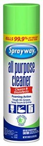 Sprayway Foaming Disinfectant Cleaner - 19 Ounce