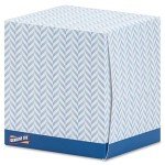 Genuine Joe 2-Ply Cube Box Facial Tissue Pack