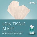 Kleenex® Professional 2-Ply Facial Tissue Cube Boxes