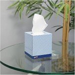 Genuine Joe 2-Ply Cube Box Facial Tissue Pack