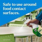 Clorox EcoClean All-Purpose Cleaner Refill, 4-Pack