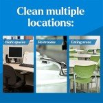 Clorox EcoClean All-Purpose Cleaner Refill, 4-Pack