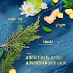 Febreze Ocean Scent Air Freshener Spray - 3 Pack