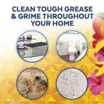 Lysol All-Purpose Cleaner Spray, Mango & Hibiscus, 32oz