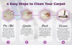 Total Care Carpet Cleaning Kit for Home & Pets