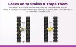 Total Care Carpet Cleaning Kit for Home & Pets