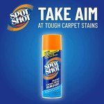 Spot Shot Professional Carpet Stain Remover 18 oz