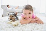 Carpet Care Kit for Pets and Stains