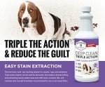 Stuart Pet Supply Pro Strength Carpet Cleaner & Deodorizer
