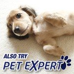 Resolve High Traffic Carpet Foam, Crisp Linen