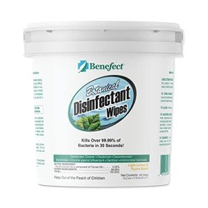 Benefect Botanical Antibacterial Disinfecting Wipes - 250 Count