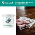 Benefect Botanical Antibacterial Disinfecting Wipes - 250 Count