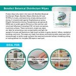 Benefect Botanical Antibacterial Disinfecting Wipes - 250 Count