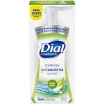 Dial Complete Antibacterial Foaming Hand Wash - Fresh Pear