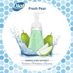 Dial Complete Antibacterial Foaming Hand Wash - Fresh Pear
