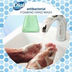Dial Complete Antibacterial Foaming Hand Wash - Fresh Pear