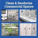 CloroxPro Fraganzia Spring Scent Multi-Purpose Cleaner 175oz