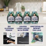 Mr. Clean Clean Freak Multi-Surface Cleaning Spray Set