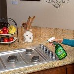 Simple Green All Purpose Cleaner 22 oz - 3 Pack