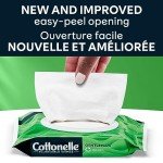Cottonelle Aloe & Vitamin E Flushable Wet Wipes