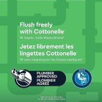 Cottonelle Aloe & Vitamin E Flushable Wet Wipes