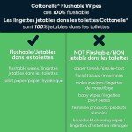 Cottonelle Aloe & Vitamin E Flushable Wet Wipes