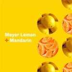 Meyer Lemon & Mandarin Hand Soap Refill, 1 Gallon