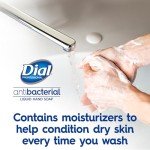 Dial Professional Gold Antibacterial Hand Soap Refill