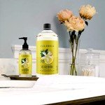 Caldrea Aloe Vera Hand Soap Refill, 32 oz