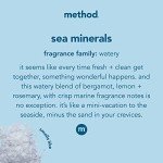Method Gel Hand Soap, Sea Minerals, 6-Pack