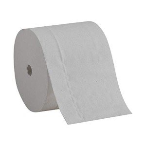 Coreless 2-Ply Recycled Toilet Paper - 36 Rolls