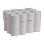 Coreless 2-Ply Recycled Toilet Paper - 36 Rolls