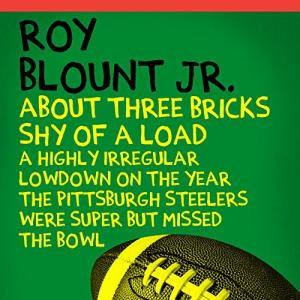 Three Bricks Shy: Steelers' Irregular Super Bowl Year