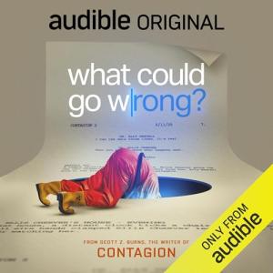 What Could Go Wrong? Streaming Experience
