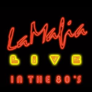 Live In The 80s Concert at Sam Houston