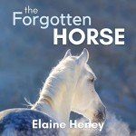 The Forgotten Horse: Connemara Horse Adventure Series for Kids, Book 1