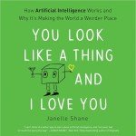 You Look Like a Thing: AI's Impact Explained