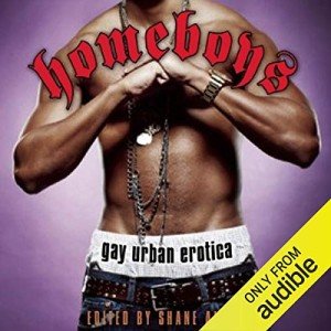 Homeboys: Streaming Gay Urban Erotica Series