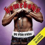 Homeboys: Streaming Gay Urban Erotica Series
