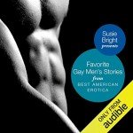 Best American Erotica: Gay Men's Stories Collection