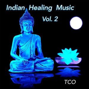 Indian Healing Music Vol. 2 for Relaxation