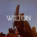 Wilton Streaming Music, TV Shows, and Movies Package